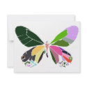 butterfly colours invitations