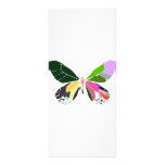 butterfly colours rack cards