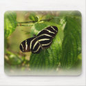 Butterfly come softly mousepads