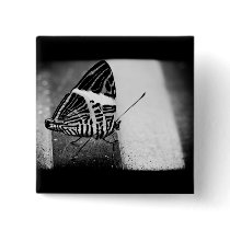 butterfly crossing pinback button