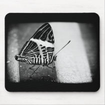 butterfly crossing mouse pad