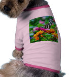 Butterfly pet clothing