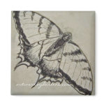 butterfly drawing magnets