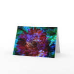 Butterfly Dream Card