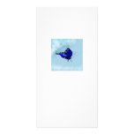 Butterfly Dreams photo cards