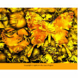 Butterfly Dreams photo sculptures