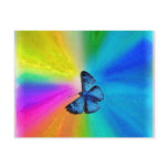 butterfly dreams postcards