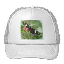Butterfly Effect Hat