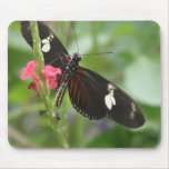 Butterfly Effect Mousepad