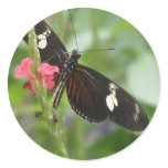 Butterfly Effect Sticker