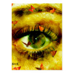 BUTTERFLY EYE POSTCARDS