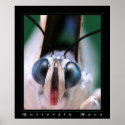 Butterfly Face posters