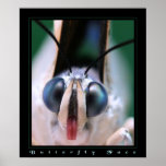 Butterfly Face posters
