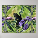Butterfly Fantasy posters