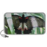Butterfly Farm Portable Speakers
