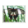 Butterfly Farm Postcard