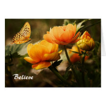 Butterfly Floral Greeting Cards