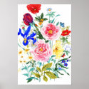 Butterfly Floral posters