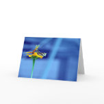 Butterfly Flower Blue Card