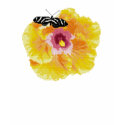 Butterfly Flower Cross Stitch t-shirts