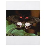 Butterfly flyers