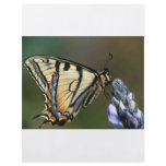 Butterfly flyers