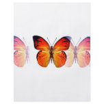 Butterfly Flyer