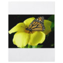 Butterfly flyers