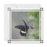 Butterfly Garden Invitation