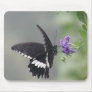Butterfly Garden Mouse Pad