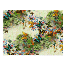 BUTTERFLY GARDEN PC5 Design Post Card