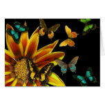 Butterfly Gardens cards