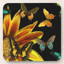 Butterfly Gardens Coasters