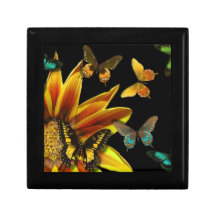 Butterfly Gardens Gift Box