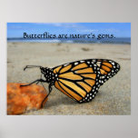 Butterfly gems  by TDGallery posters