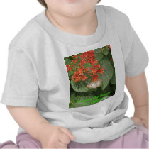 Butterfly - GO GREEN! Tshirt