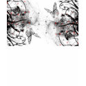 Butterfly Graffity t-shirts