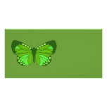 Butterfly Greens photo cards