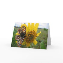 Butterfly Greeting Card