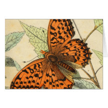 Butterfly Greeting Card