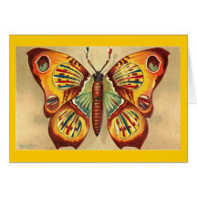 Butterfly Greeting Card