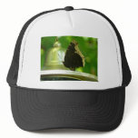 butterfly trucker hats