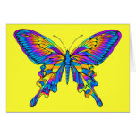 Butterfly in Beautiful Multi-Colour with Blue Cards
