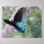 Butterfly in flight-customise posters