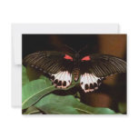 Butterfly invitations