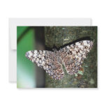 Butterfly invitations