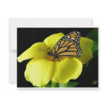 Butterfly invitations