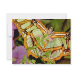 Butterfly invitations