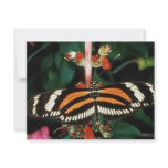 Butterfly invitations