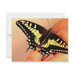 Butterfly invitations